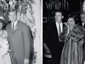 John William McDonald’s