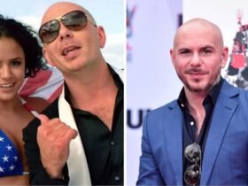Pitbull Singer Wife
