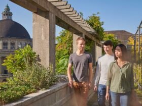 Academic Support for Students in Zurich