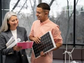 How Can Solar Batteries Maximise Your Solar Power Investment