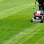 Improve Your Lawn Mowing Practices with an Advanced Grass Cutting Machine