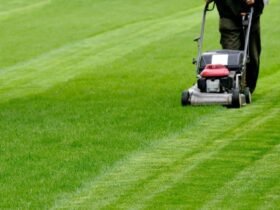 Improve Your Lawn Mowing Practices with an Advanced Grass Cutting Machine