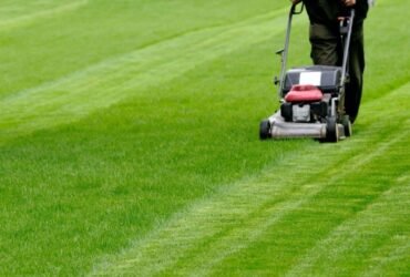 Improve Your Lawn Mowing Practices with an Advanced Grass Cutting Machine
