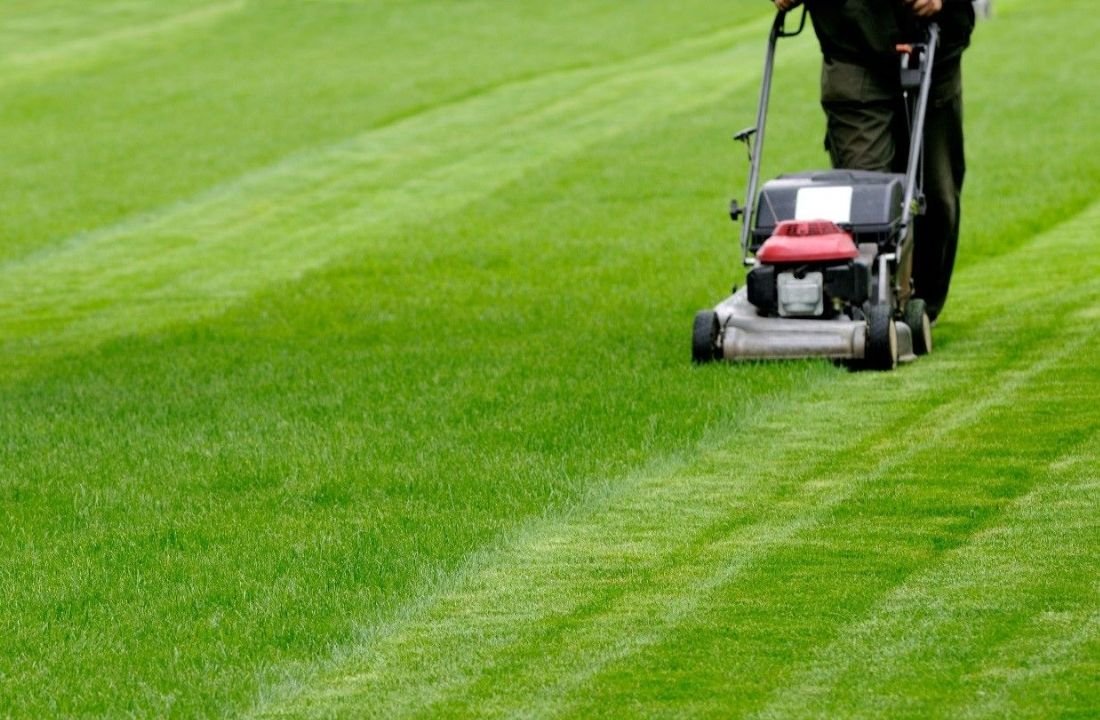 Improve Your Lawn Mowing Practices with an Advanced Grass Cutting Machine