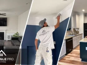 Triangle Pro Painting