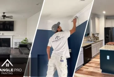 Triangle Pro Painting