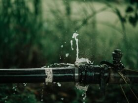 Should I File a Home Insurance Claim for Water Damage