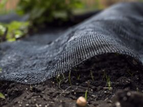 Top Benefits of Using Geotextile Fabric in Landscaping and Drainage