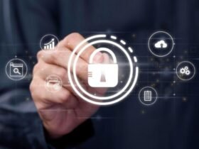 Why Does "Maximum Transparency" Often Lead to Zero Accountability in the Public Sector