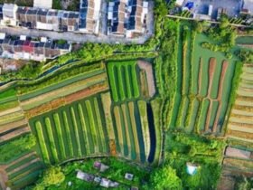 Why Modular Concrete Solutions Are Becoming Essential for Modern Agriculture