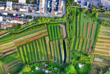 Why Modular Concrete Solutions Are Becoming Essential for Modern Agriculture