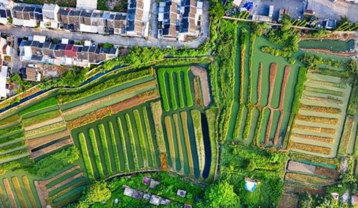 Why Modular Concrete Solutions Are Becoming Essential for Modern Agriculture