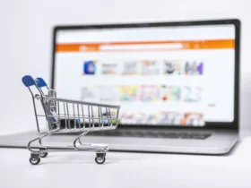 Chinese Translation Experts in the USA