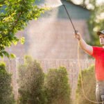 5 Reliable Lawn Care Experts in Texas for Tough Lawn Problems