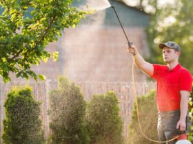 5 Reliable Lawn Care Experts in Texas for Tough Lawn Problems
