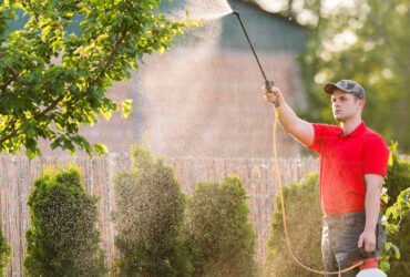 5 Reliable Lawn Care Experts in Texas for Tough Lawn Problems