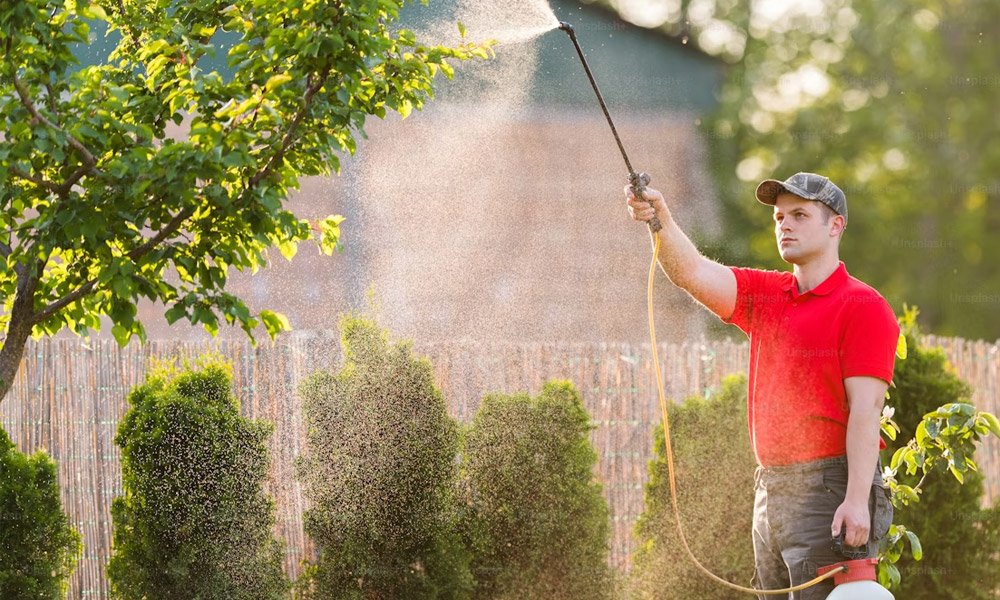 5 Reliable Lawn Care Experts in Texas for Tough Lawn Problems
