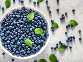 Does Bilberry Have Protective Health Benefits