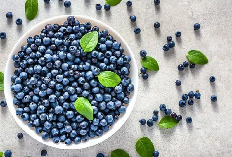 Does Bilberry Have Protective Health Benefits