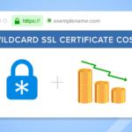 Wildcard SSL Certificates