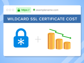 Wildcard SSL Certificates