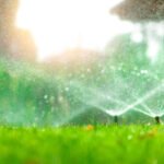 Watering Solutions