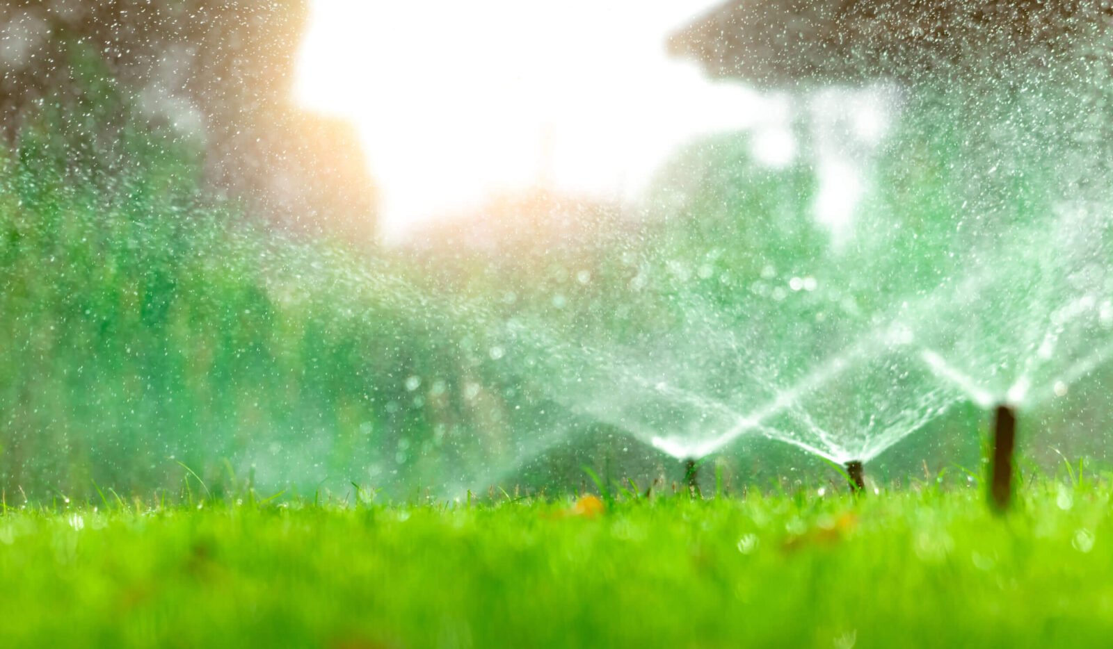 Watering Solutions