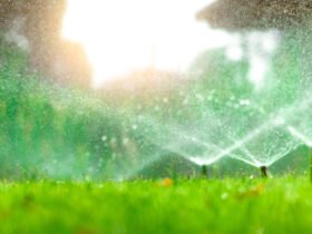 Watering Solutions