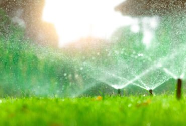 Watering Solutions