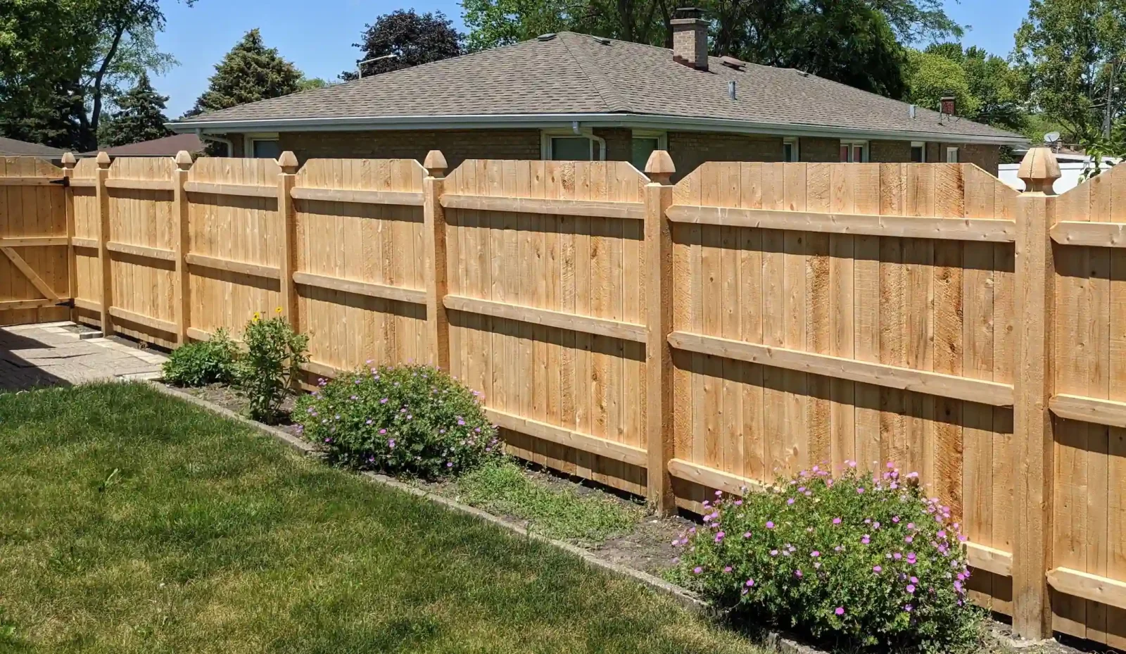Privacy Fence