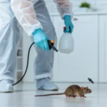 Rodent-Free Home