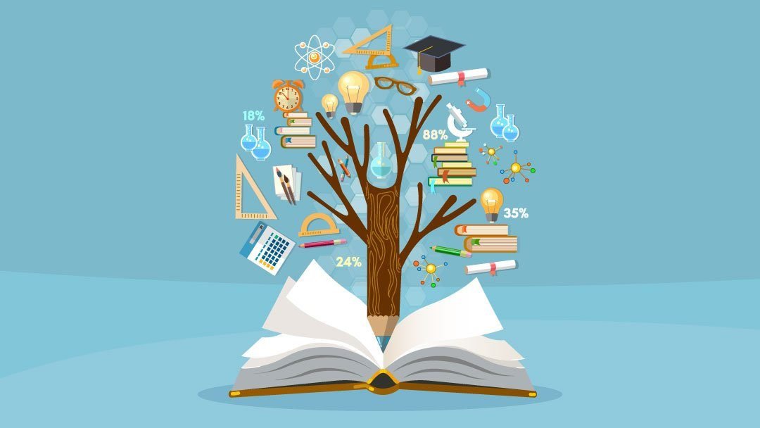 The Growing Importance of Holistic Learning in Higher Education Institutions 