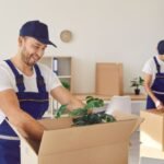 Packing Bees Movers