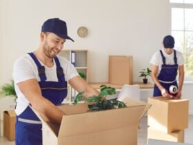 Packing Bees Movers