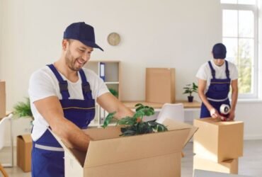 Packing Bees Movers