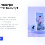 TikTok Video Summarizer