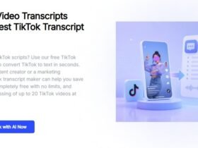 TikTok Video Summarizer