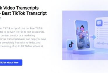 TikTok Video Summarizer