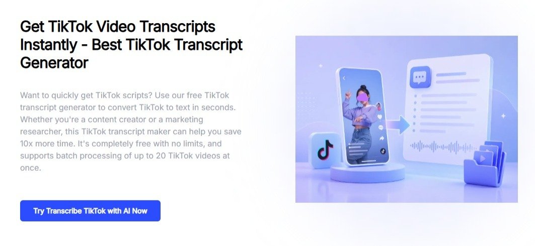 TikTok Video Summarizer