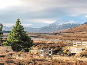Why Scotland rewards travellers who take the long way around