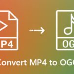 MP4