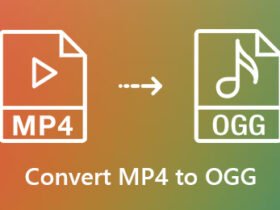 MP4