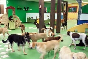 Karnik Pet Lodge