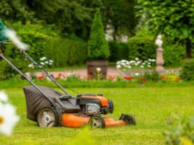 Weed Pro Lawn Care