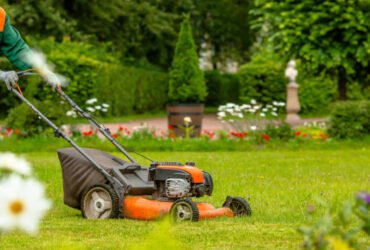 Weed Pro Lawn Care
