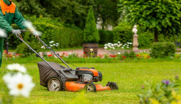 Weed Pro Lawn Care