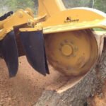Stump Grinding