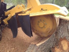 Stump Grinding