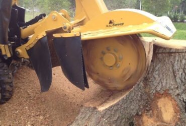Stump Grinding