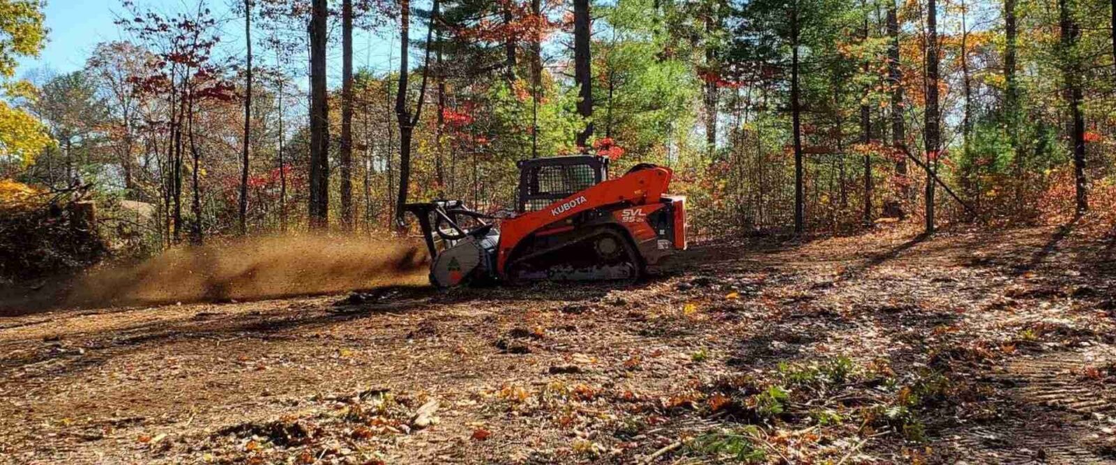 Forestry Mulching